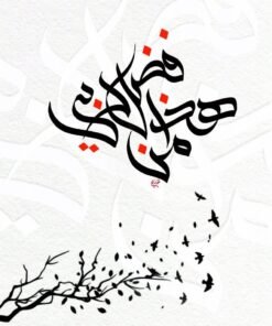 هذا من فضل ربي