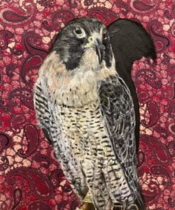 Falcon on Fabric