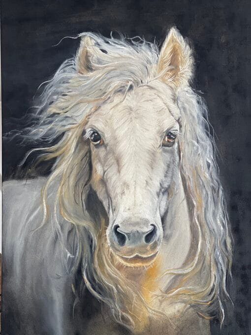 Pride - A white horse painting