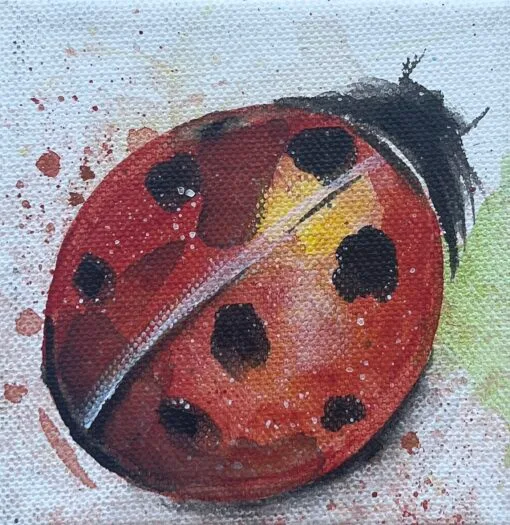 Lady bug