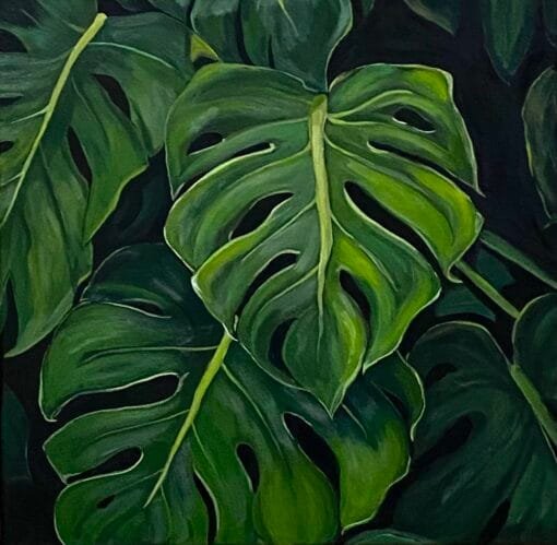 Monstera muse