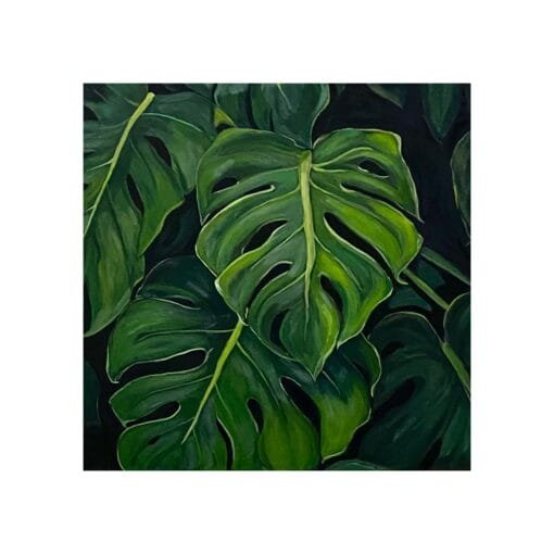 ⁦Monstera muse⁩ - الصورة ⁦2⁩