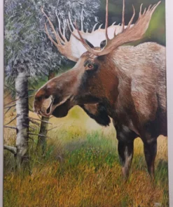 Moose