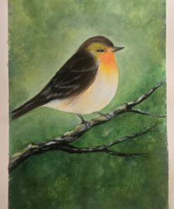 bird